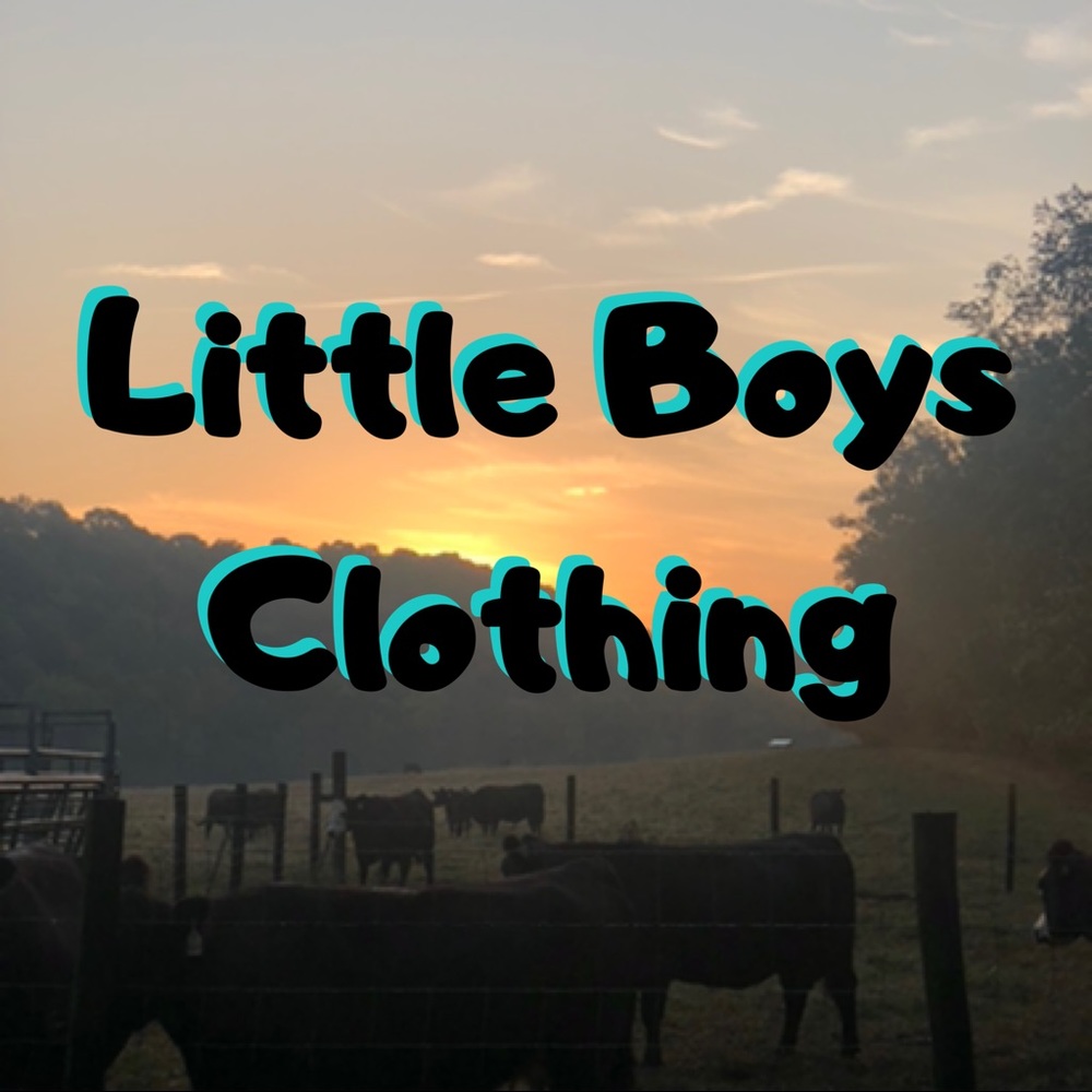 Tons of cute little boys clothing for sale!